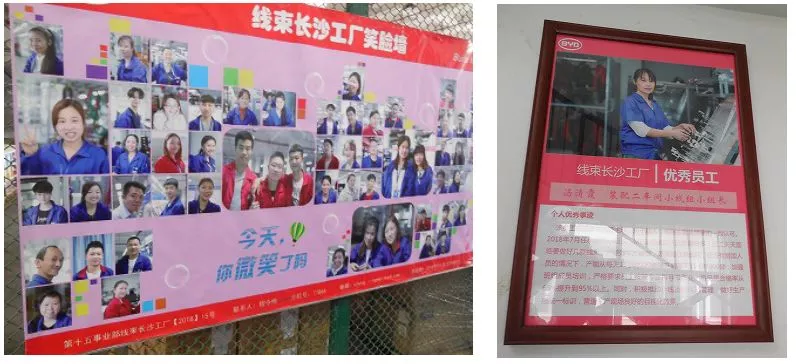 微信图片_20250827114231_2653_5.png